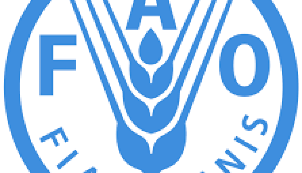 Private Sector Specialist Vacancy-Job Ref: EJCHFAO/1111/202467